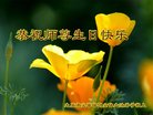 ֹ,ɽ󷨵ӹ編ִʦ𻪵(18)