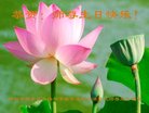 ֹ,ӱ󷨵ӹ編ִʦ𻪵(21)