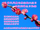 ֹ,ɽ󷨵ӹ編ִʦ𻪵(22)