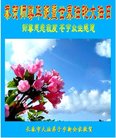 ֹ,󷨵ӹ編ִʦ𻪵(23)