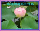 ֹ,󷨵ӹ編ִʦ𻪵(19)