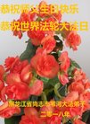 法轮功,哈尔滨大法弟子恭贺世界法轮大法日暨师尊华诞(21条)