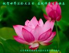 ֹ,󷨵ӹ編ִʦ𻪵(18)
