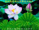 ֹ,󷨵ӹ編ִʦ𻪵(20)