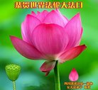 ֹ,Ĵ󷨵ӹ編ִʦ𻪵(20)