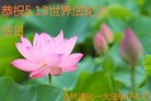 ֹ,ʡ󷨵ӹ編ִʦ𻪵(19)