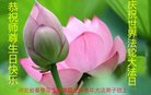 ֹ,ػʵ󷨵ӹ編ִʦ𻪵(18)