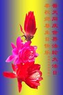 ֹ,żҿڴ󷨵ӹ編ִʦ𻪵(19)