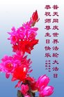 ֹ,żҿڴ󷨵ӹ編ִʦ𻪵(19)