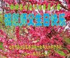 法轮功,北京大法弟子恭贺世界法轮大法日暨师尊华诞(20条)