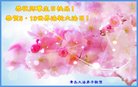 ֹ,ൺ󷨵ӹ編ִʦ𻪵(21)