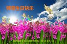 法轮功,西安大法弟子恭贺世界法轮大法日暨师尊华诞(21条)