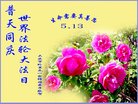 ֹ,󷨵ӹ編ִʦ𻪵(19)