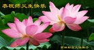 ֹ,ʡ󷨵ӹ編ִʦ𻪵(22)
