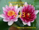 ֹ,ϴ󷨵ӹ編ִʦ𻪵(19)