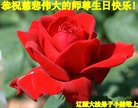 ֹ,ʡ󷨵ӹ編ִʦ𻪵(24)