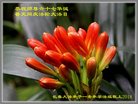 ֹ,󷨵ӹ編ִʦ𻪵(21)