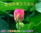 法轮功,保定大法弟子恭贺世界法轮大法日暨师尊华诞(27条)