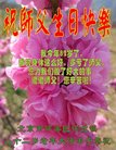 法轮功,北京大法弟子恭贺世界法轮大法日暨师尊华诞(19条)