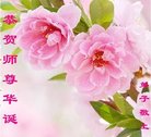 ֹ,ɹŴ󷨵ӹ編ִʦ𻪵(23)