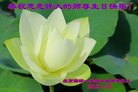 ֹ,󷨵ӹ編ִʦ𻪵(25)