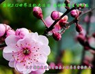 ֹ,󷨵ӹ編ִʦ𻪵(19)