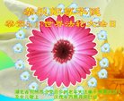 ֹ,󷨵ӹ編ִʦ𻪵(22)