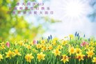 ֹ,Ĵ󷨵ӹ編ִʦ𻪵(21)