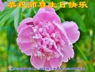 ֹ,󷨵ӹ編ִʦ𻪵(21)