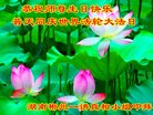ֹ,ϴ󷨵ӹ編ִʦ𻪵(19)