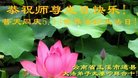 ֹ,ϴ󷨵ӹ編ִʦ𻪵(20)