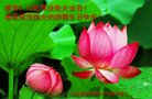 ֹ,ൺ󷨵ӹ編ִʦ𻪵(24)