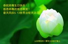 ֹ,ൺ󷨵ӹ編ִʦ𻪵(24)