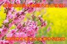 ֹ,ϴ󷨵ӹ編ִʦ𻪵(19)