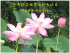 ֹ,󷨵ӹ編ִʦ𻪵(23)
