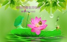 ֹ,󷨵ӹ編ִʦ𻪵(20)