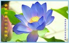 ֹ,󷨵ӹ編ִʦ𻪵(19)
