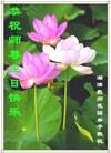 ֹ,󷨵ӹ編ִʦ𻪵(19)