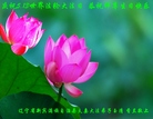 ֹ,󷨵ӹ編ִʦ𻪵(20)