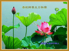 ֹ,󷨵ӹ編ִʦ𻪵(20)