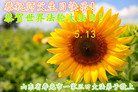 ֹ,Ϋ󷨵ӹ編ִʦ𻪵(26)