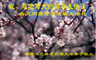 ֹ,󷨵ӹ編ִʦ𻪵(19)