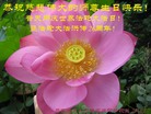 ֹ,ʯׯ󷨵ӹ編ִʦ𻪵(26)