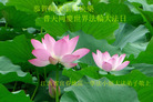 ֹ,󷨵ӹ編ִʦ𻪵(24)