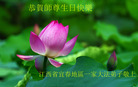 ֹ,󷨵ӹ編ִʦ𻪵(24)