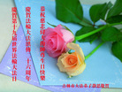 ֹ,д󷨵ӹ編ִʦ𻪵(21)