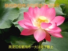 ֹ,󷨵ӹ編ִʦ𻪵(20)