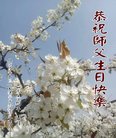 ֹ,󷨵ӹ編ִʦ𻪵(19)