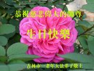 ֹ,д󷨵ӹ編ִʦ𻪵(21)