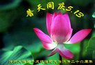 ֹ,ϴ󷨵ӹ編ִʦ𻪵(23)